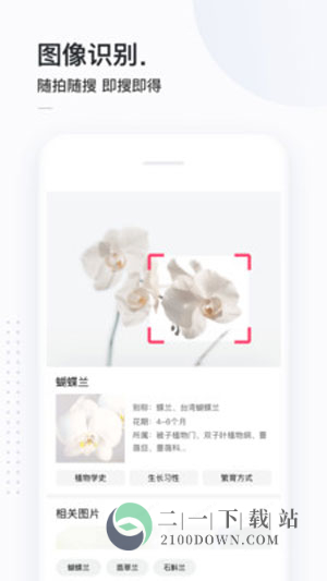 简单搜索app