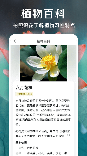 拍照识花app