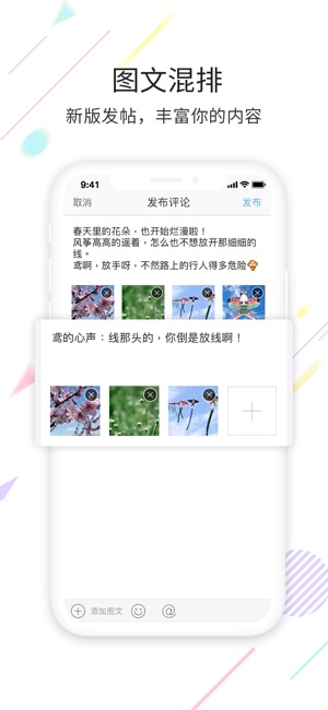 宁海在线app