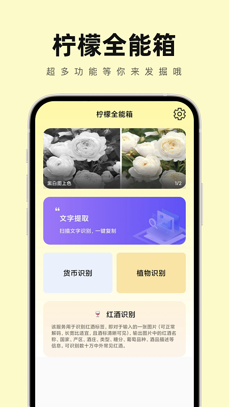 柠檬全能箱app