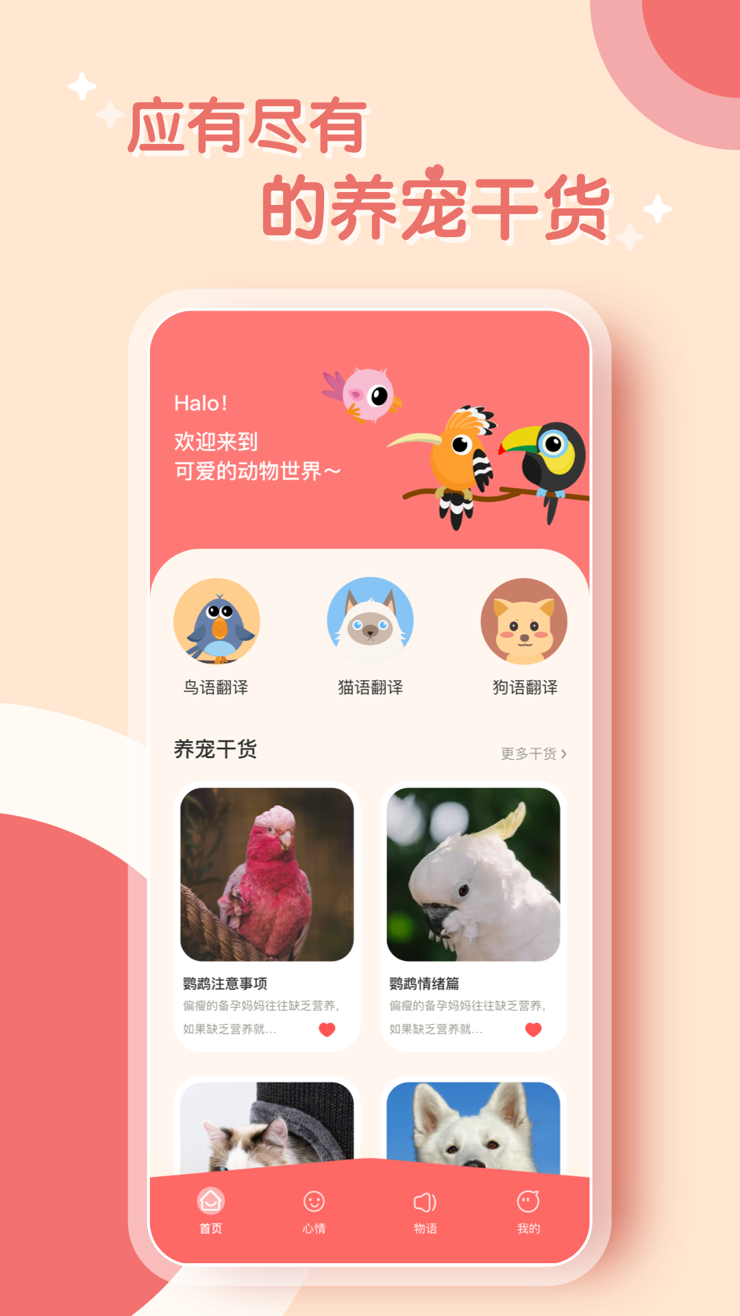 鹦鹉语言翻译器app
