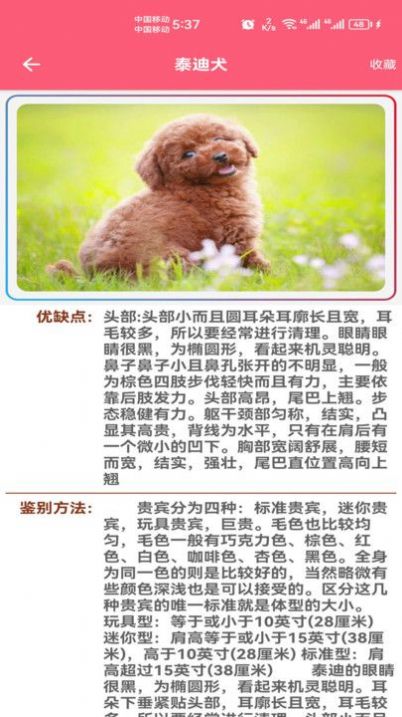 宠物宝宝大全app 宠物宝宝大全app