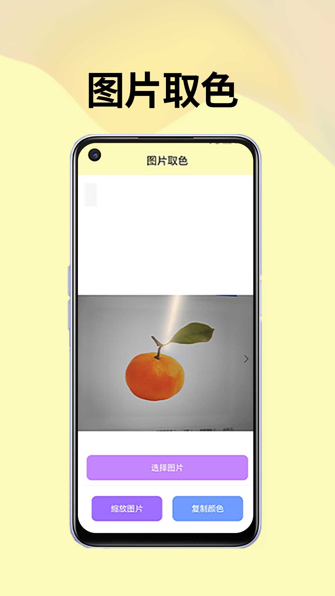 皮皮袋小工具app