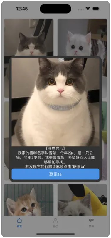 寻猫启示录app 寻猫启示录app