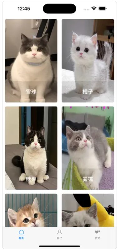 寻猫启示录app 寻猫启示录app