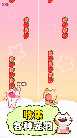 萌猫二重奏app