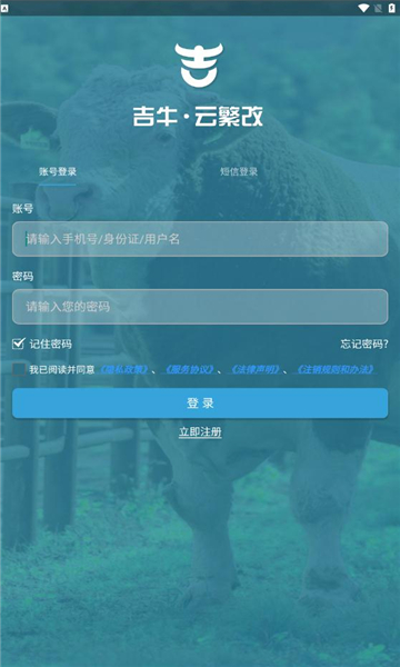 吉牛云繁改平台app