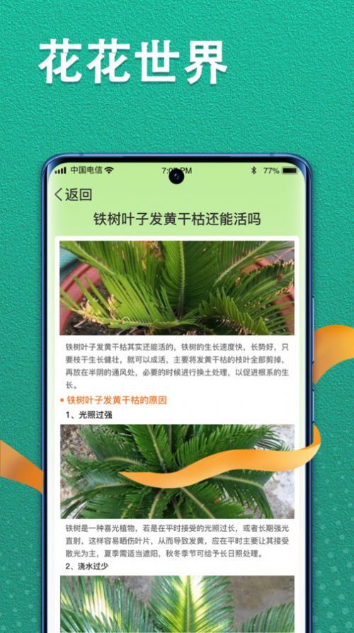 植物视界app