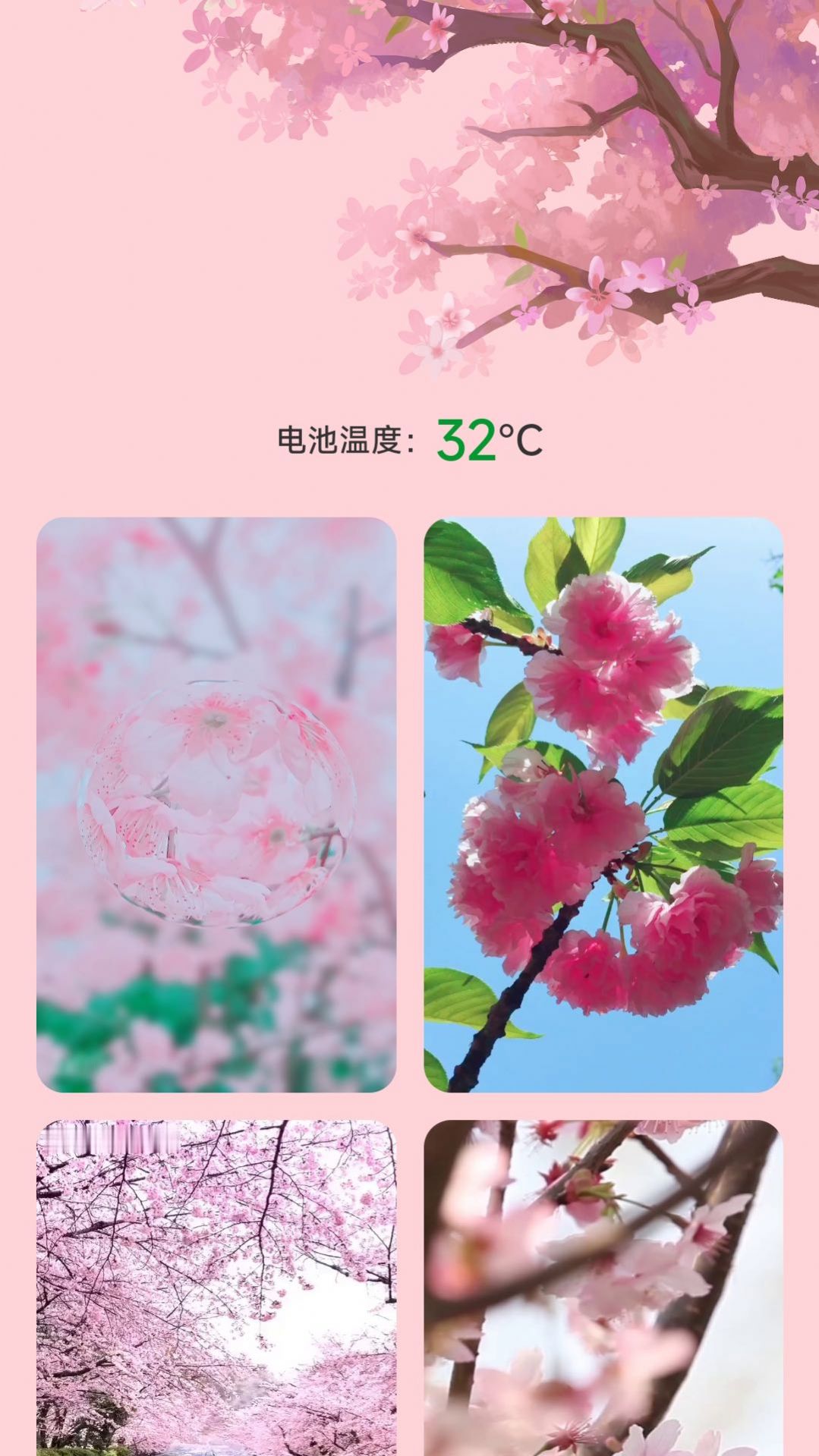樱花充电app