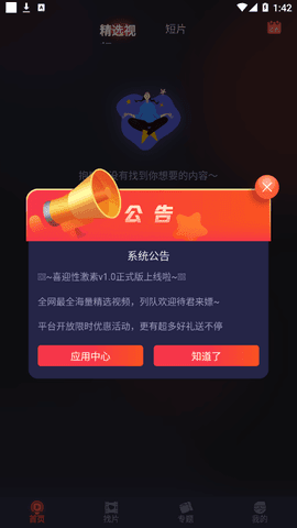 麻花视频3.2.2纯净版
