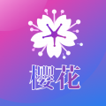 樱花雨直播
