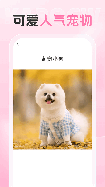 爱炫相机app