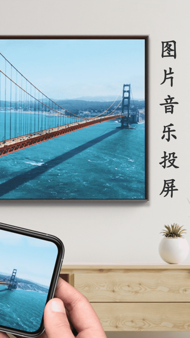 蓝莓投屏app
