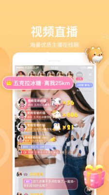 烟花雨直播app