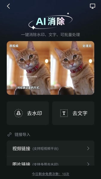 开拍app