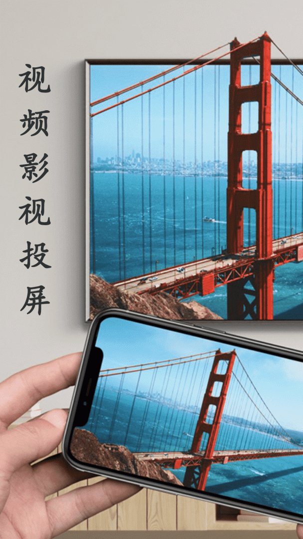 蓝莓投屏app