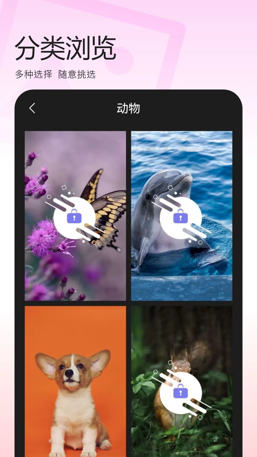百变换壁纸app